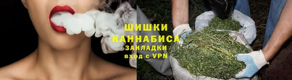 тгк Гатчина