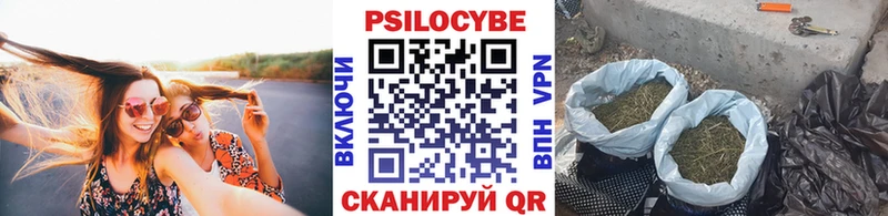 Псилоцибиновые грибы GOLDEN TEACHER  даркнет сайт  Горячеводский 